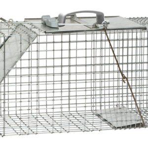 Havahart Large Live Catch Cage Trap For Cats and Raccoons 1 pk