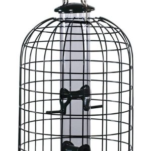 Audubon Wild Bird 1.25 lb Plastic/Wire Caged Tube Bird Feeder 4 ports