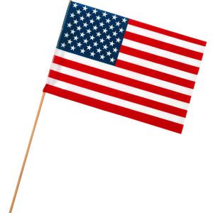 Valley Forge American Stick Flag 12 in. H X 18 in. W