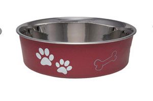 Loving Pets Assorted Bones and Paw Prints Stainless Steel Medium Pet Bowl For Dog