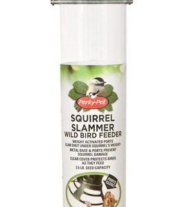 Perky-Pet Squirrel Slammer Wild Bird 3.5 lb Metal/Plastic Bird Feeder 3 ports