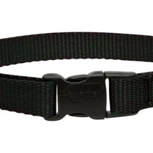 Lupine Pet Basic Solids Black Black Nylon Dog Adjustable Collar
