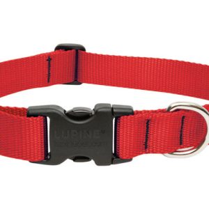 Lupine Pet Basic Solids Red Red Nylon Dog Adjustable Collar