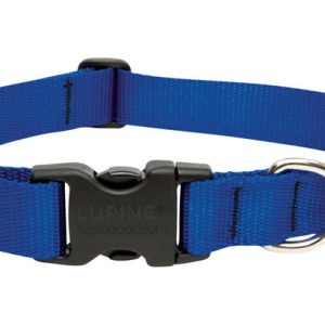 Lupine Pet Basic Solids Blue Blue Nylon Dog Adjustable Collar