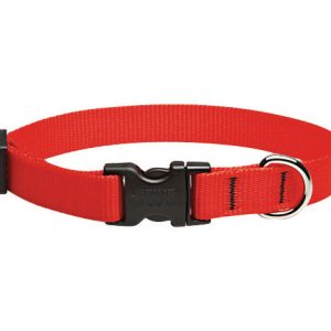 Lupine Pet Basic Solids Red Red Nylon Dog Adjustable Collar