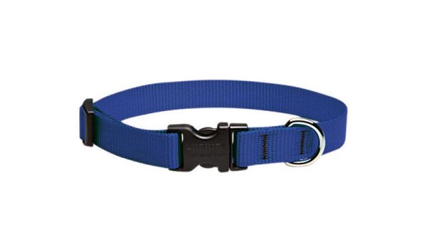 Lupine Pet Basic Solids Blue Blue Nylon Dog Adjustable Collar
