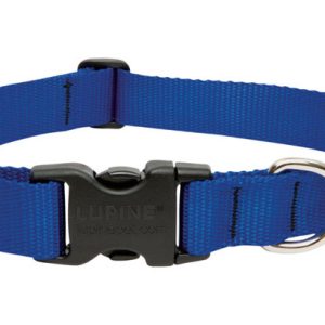 Lupine Pet Basic Solids Blue Blue Nylon Dog Adjustable Collar