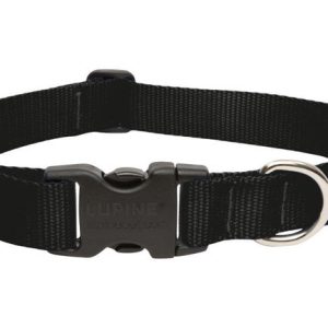 Lupine Pet Basic Solids Black Black Nylon Dog Adjustable Collar