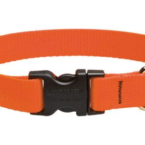Lupine Pet Basic Solids Blaze Orange Blaze Orange Nylon Dog Adjustable Collar