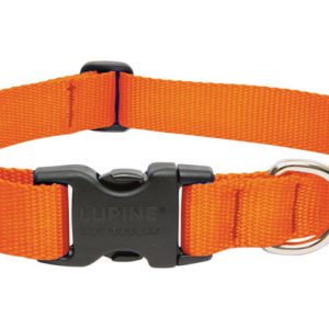 Lupine Pet Basic Solids Blaze Orange Blaze Orange Nylon Dog Adjustable Collar