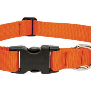 Lupine Pet Basic Solids Blaze Orange Blaze Orange Nylon Dog Adjustable Collar