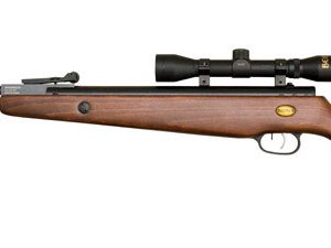 Beeman 0.18 Caliber 8.5 lb 1000 fps Air Rifle 1 pk