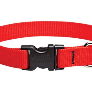 Lupine Pet Basic Solids Red Red Nylon Dog Adjustable Collar