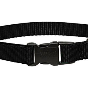 Lupine Pet Basic Solids Black Black Nylon Dog Adjustable Collar