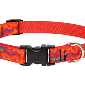 Lupine Pet Original Designs Multicolor Go Go Gecko Nylon Dog Adjustable Collar