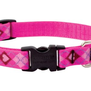 Lupine Pet Original Designs Multicolor Puppy Love Nylon Dog Adjustable Collar