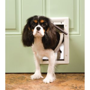 PetSafe 11 in. H X 7.5 in. W Plastic Pet Door