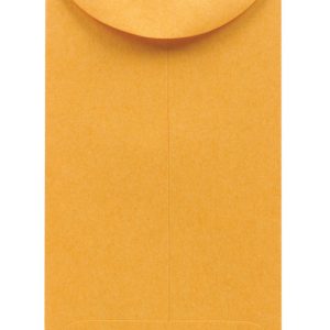 Centurion 3.12 in. W X 5.5 in. L Brown Coin Envelopes 500 pk