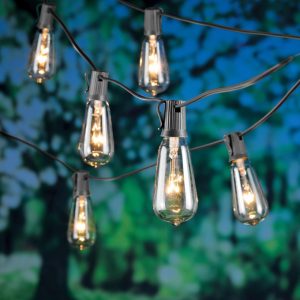 Living Accents Incandescent Edison String Lights Clear 108 in. 10 lights