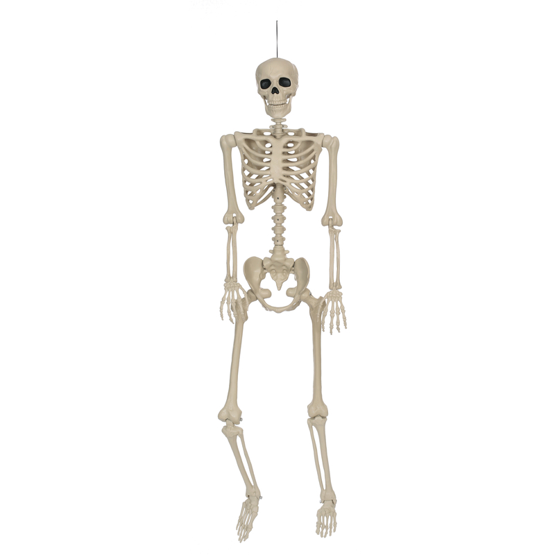 Seasons 60 in. Human Skeleton Hanging Decor - PaintPlace New York