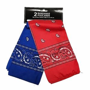 Starr Design Group Paisley Bandana Set Red and Blue