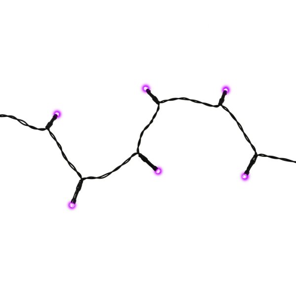 Celebrations Halloween Purple 1 in. LED Light String Halloween Decor