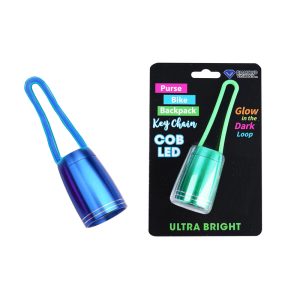Diamond Visions Mini Glow the Dark Keychain LED Flashlight 1 pc