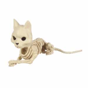Seasons 5.125 in. Skeleton Cat Halloween Decor