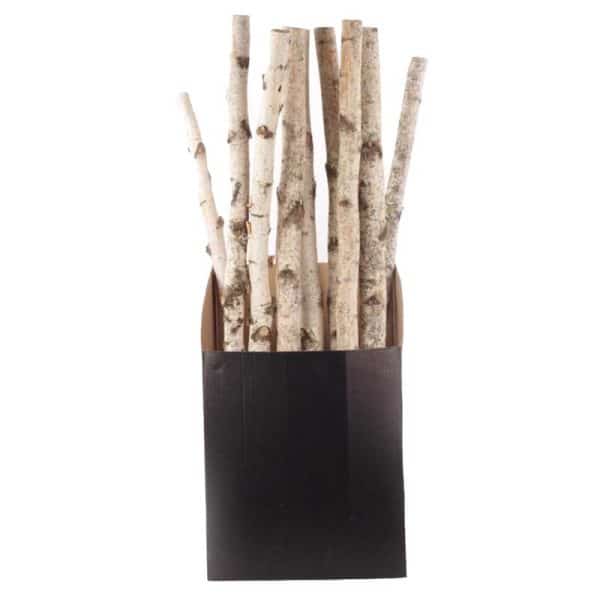 Second Nature Natural Birch Pole Indoor Christmas Decor 32 in.