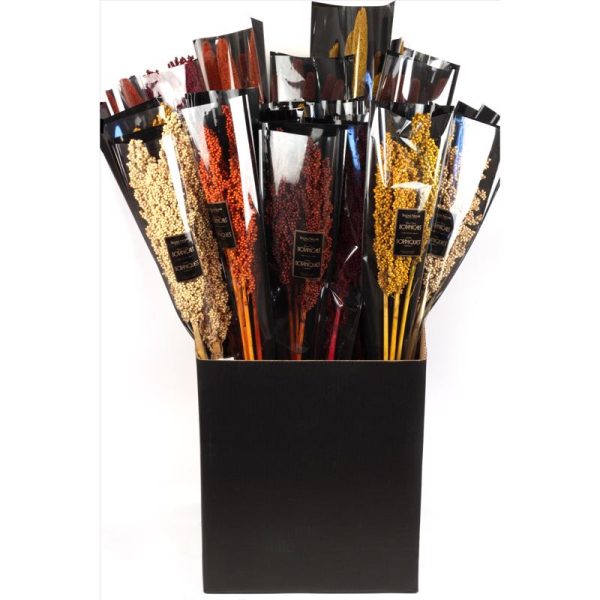 Second Nature 24 in. Milo/Millet Dried Floral Stems Harvest Decor