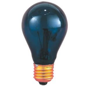 Fun World Black 4.5 in. Prelit Black Light Lights