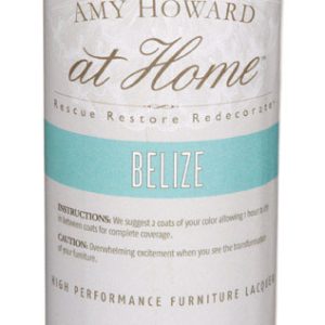 Amy Howard at Home Gloss Belize High Performance Furniture Lacquer Spray 12 oz