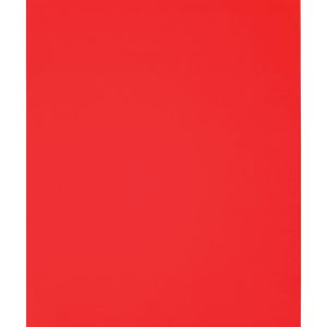 Diablo 9 in. L X 11 in. W 80 Grit Aluminum Oxide Sanding Sheet 4 pk