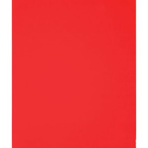 Diablo 9 in. L X 11 in. W 60 Grit Aluminum Oxide Sanding Sheet 4 pk