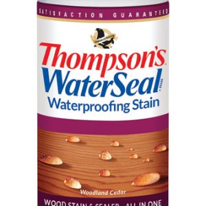 Thompson's WaterSeal Transparent Woodland Cedar Waterproofing Wood Stain and Sealer 12 oz