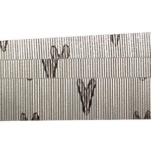 Senco 1/2 in. 23 Ga. Straight Strip Galvanized Micro Pins 2,600 pk