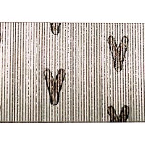 Senco 1 in. 23 Ga. Straight Strip Galvanized Micro Pins 2,600 pk