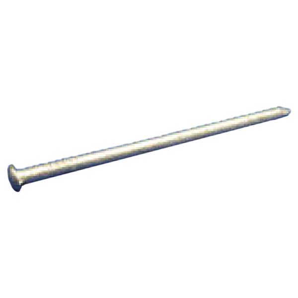 Stallion 2-1/2 in. Hot-Dip Galvanized Nails 1 pk