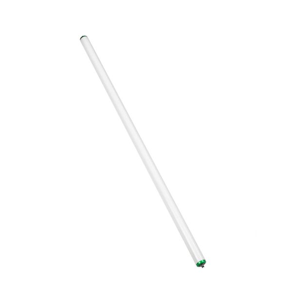 Philips Alto 75 W T12 1.5 in. D X 60 in. L Fluorescent Bulb Cool White Linear 4100 K 1 pk