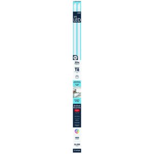 Feit Electric T8 Daylight 48 in. G13 Linear LED Bulb 32 Watt Equivalence 2 pk