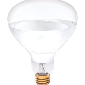 Westinghouse 250 W R40 Reflector Incandescent Bulb E26 (Medium) White 1 pk