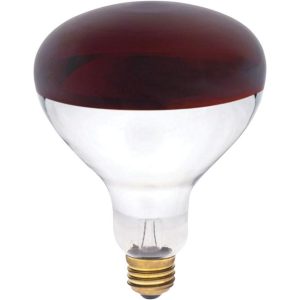 Westinghouse 250 W R40 Reflector/Heat Lamp Incandescent Bulb E26 (Medium) Red 1 pk