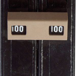 Eaton 100 amps Plug In 2-Pole Circuit Breaker