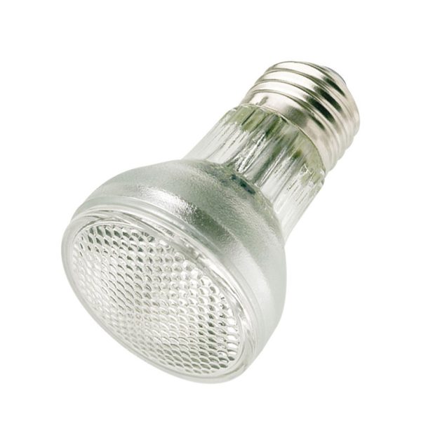 Westinghouse 60 W PAR16 Floodlight Halogen Bulb 660 lm White 1 pk