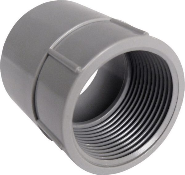 Cantex 2-1/2 in. D PVC Female Adapter 1 pk