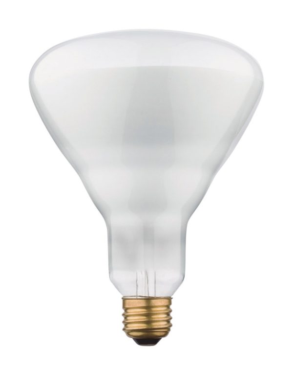 Westinghouse 65 W BR40 Floodlight Incandescent Bulb E26 (Medium) Soft White 1 pk