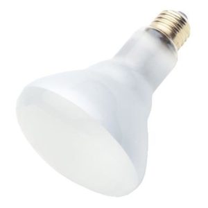 Westinghouse 65 W BR30 Reflector Incandescent Light Bulb Medium Base White 6 pk