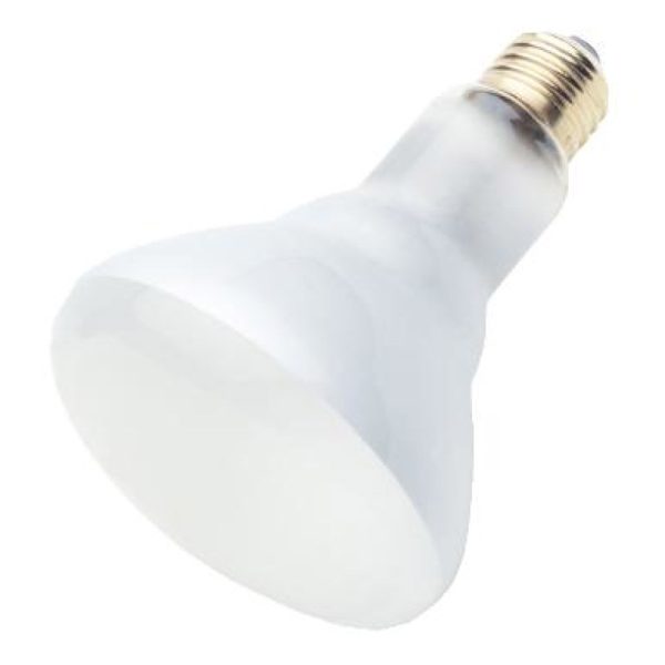 Westinghouse 65 W BR30 Reflector Incandescent Light Bulb Medium Base White 6 pk