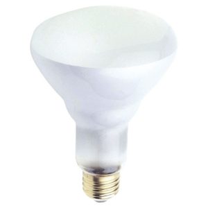 Westinghouse 65 W BR30 Floodlight Incandescent Bulb E26 (Medium) White 12 pk