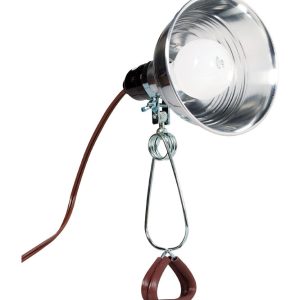 Projex 60 W Clamp Lamp
